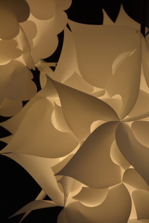 myol leaf – Bild 6